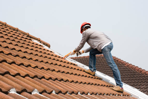 Trusted Whiteville, NC Roofing servicies Experts