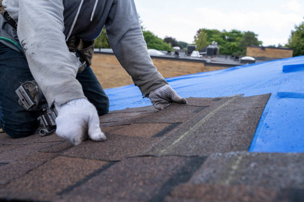 Best Chimney Flashing Repair  in Whiteville, NC